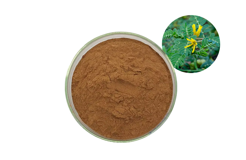 Pure Tribulus Terrestris Extract